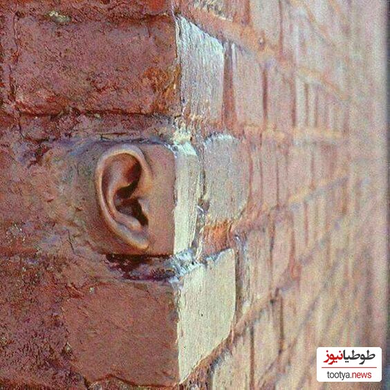 دیوار موش داره موشم گوش داره