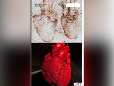 (ویدیو) راز شگفت‌آور مارپیچی بودن قلب انسان که پس از قرن‌ها کشف شد/ بدن انسان یک شاهکار هنری پیچیده است!