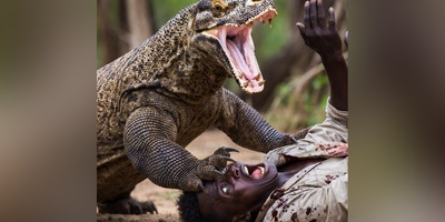 مستند حیات وحش/ رازبقا/ حمله هولناک اژدهای کومودو برای بلعیدن یک انسان درسته