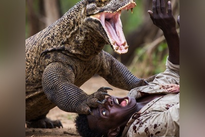مستند حیات وحش/ رازبقا/ حمله هولناک اژدهای کومودو برای بلعیدن یک انسان درسته