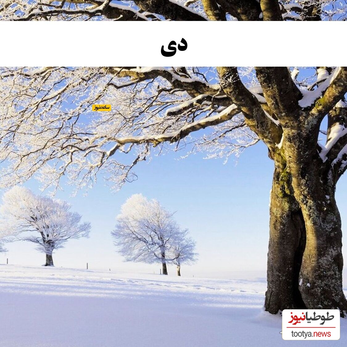دی