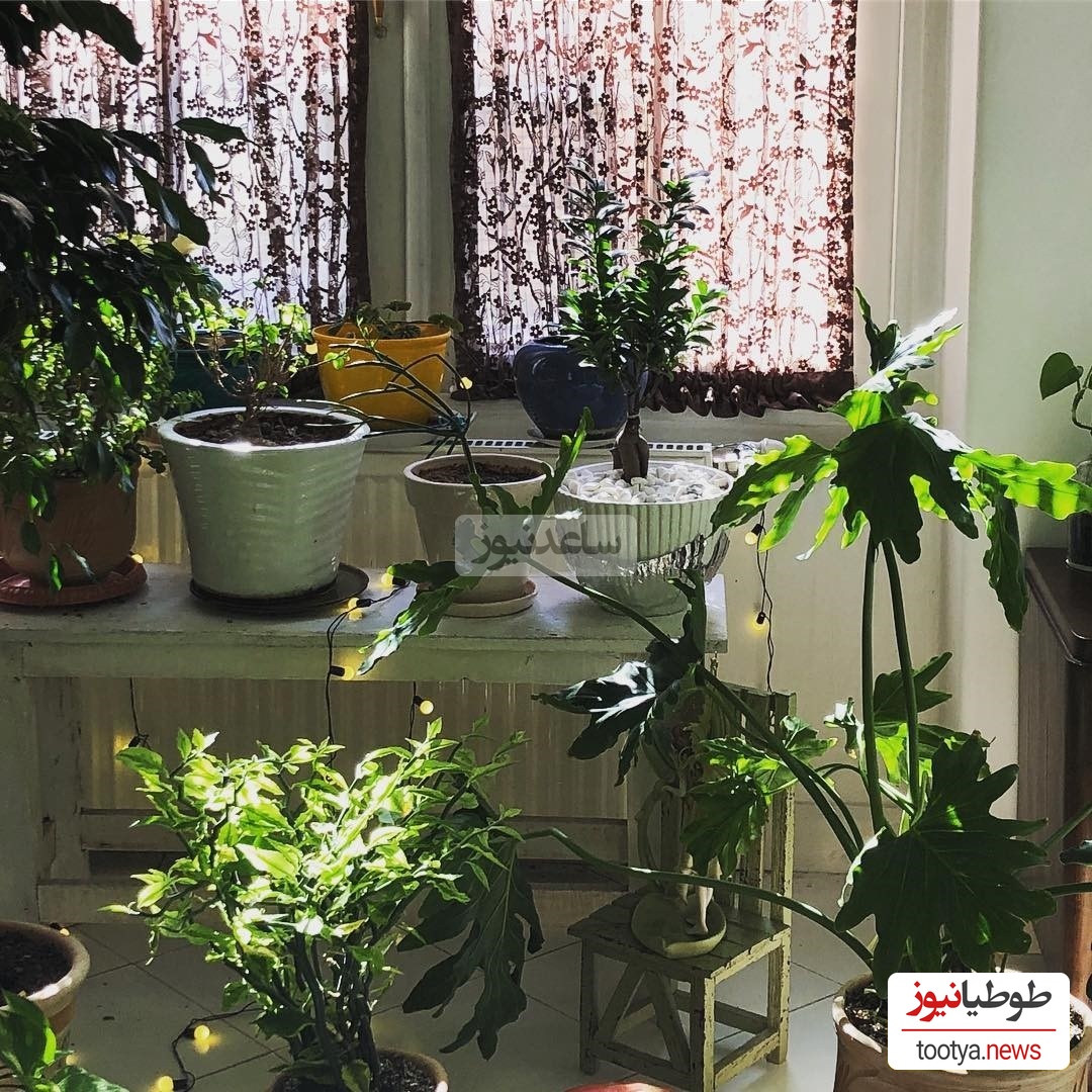 چیدمان منزل الهام کردا