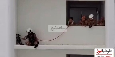 (ویدئو) بامزه ترین عملیات تیم آتش نشانی برای نجات سگی که قهر کرده / آتش نشان کلافه شد چقد خوب داره قانع میکنه برگرده تو خونه؛ ولی از رو نمیره 🤨