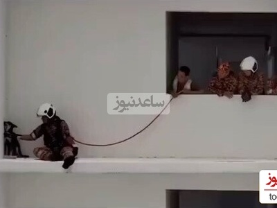 (ویدئو) بامزه ترین عملیات تیم آتش نشانی برای نجات سگی که قهر کرده / آتش نشان کلافه شد چقد خوب داره قانع میکنه برگرده تو خونه؛ ولی از رو نمیره 🤨