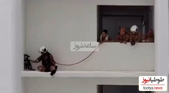 (ویدئو) بامزه ترین عملیات تیم آتش نشانی برای نجات سگی که قهر کرده / آتش نشان کلافه شد چقد خوب داره قانع میکنه برگرده تو خونه؛ ولی از رو نمیره 🤨