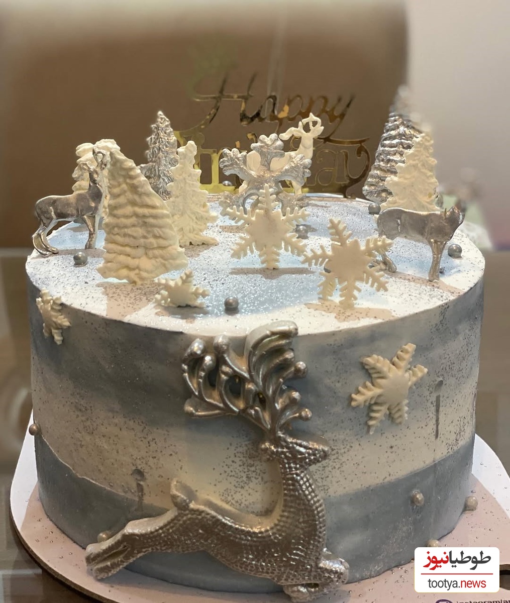 تولد سوگل طهماسبی