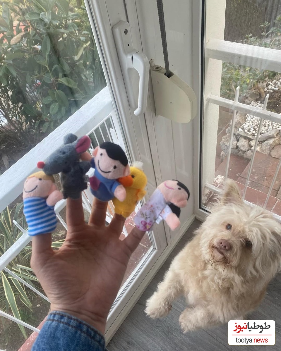 چیدمان منزل پیمان قاسم خانی و میترا ابراهیمی