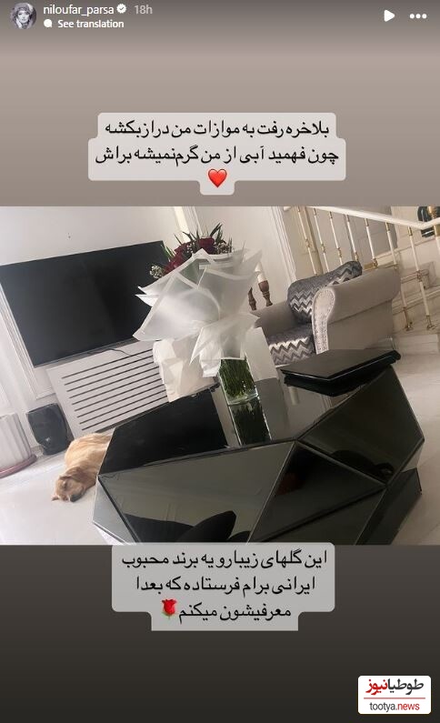 استوری نیلوفر پارسا