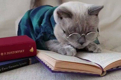 خلاقیت خنده دار پدر ایرانی برای تشویق فرزنداش به درس خواندن با قدیمی ترین شیوه تربیتی/ بچه مگه جرات داره درس نخونه!😂+عکس