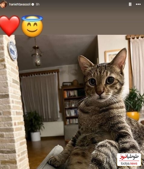 منزل هانیه توسلی