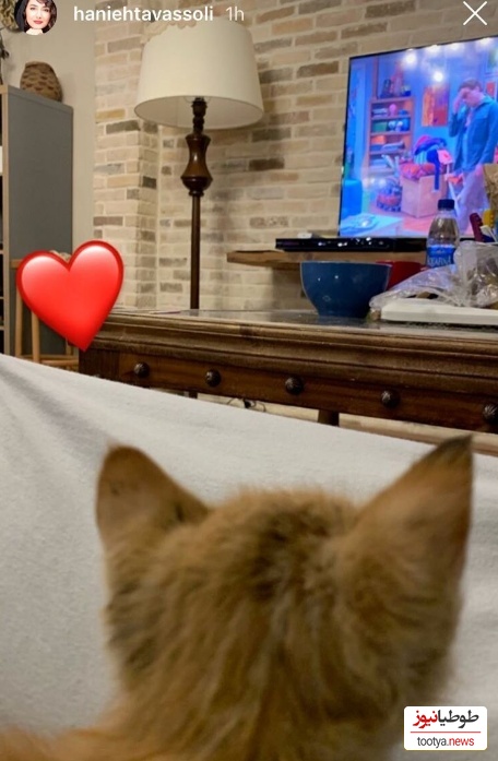 منزل هانیه توسلی