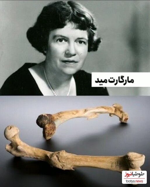 مارگارت مید