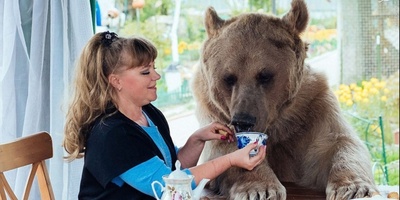 (ویدئو) فیلمبردار رفته خونه خرس که یهویی آقا خرسه سر میرسه!/ مهمان نوازی این خرس باادب از مهمان ناخوانده خود سوژه فضای مجازی شد