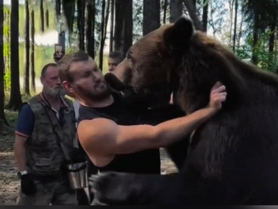 (ویدیو) حرکت عجیب و باورنکردنی روس ها: کشتی گرفتن یک بوکسور روس با یک خرس!