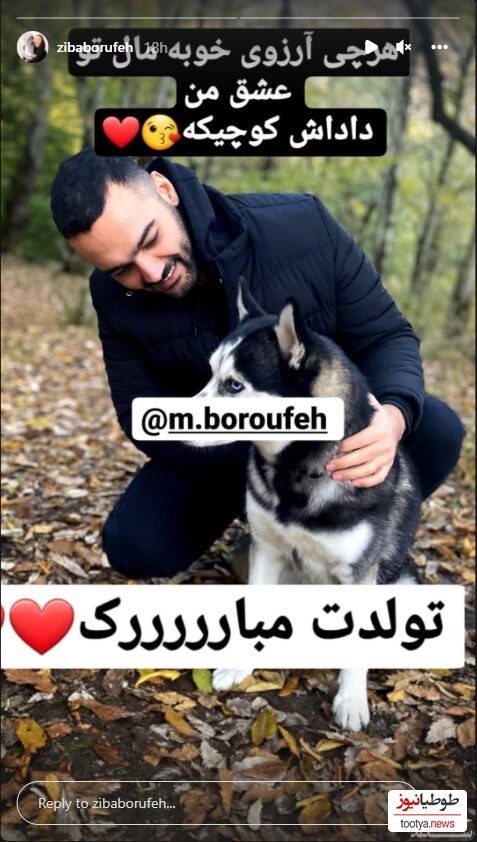 برادر زیبا بروفه