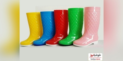 خلاقیت تحسین‌برانگیز و خنده‌دار"کشاورز تبریزی" در تبدیل چکمه به ظرف غذای مرغ حماسه آفرید/ حقشه مغزشو از طلا بگیرن