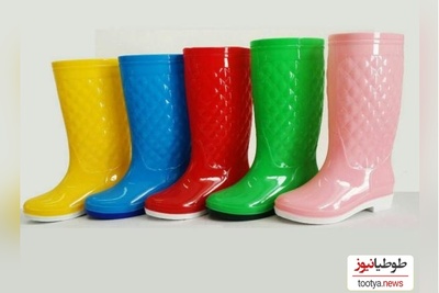 خلاقیت تحسین‌برانگیز و خنده‌دار"کشاورز تبریزی" در تبدیل چکمه به ظرف غذای مرغ حماسه آفرید/ حقشه مغزشو از طلا بگیرن