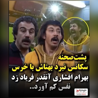 پشت صحنه هیجان‌انگیز سریال «پایتخت» در لحظه حمله خرس واقعی+ فیلم