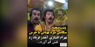 پشت صحنه هیجان‌انگیز سریال «پایتخت» در لحظه حمله خرس واقعی+ فیلم