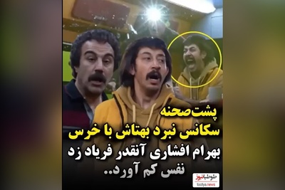 پشت صحنه هیجان‌انگیز سریال «پایتخت» در لحظه حمله خرس واقعی+ فیلم