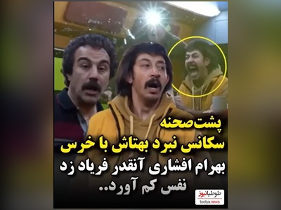 پشت صحنه هیجان‌انگیز سریال «پایتخت» در لحظه حمله خرس واقعی+ فیلم