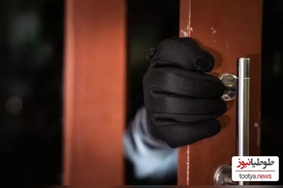 (ویدئو) ایستادگی این زن هندی در برابر سارقان در کل دنیا سروصدا به پا کرد / آفرین شیرزن