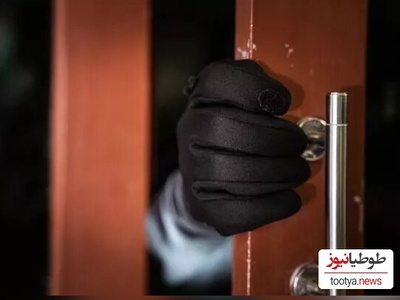 (ویدئو) ایستادگی این زن هندی در برابر سارقان در کل دنیا سروصدا به پا کرد / آفرین شیرزن