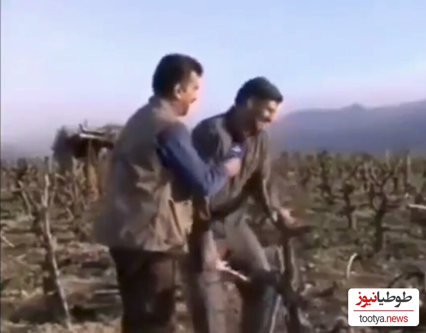 کشاورزی که باغش را سرما زده بود ، از خنده غش کرد! +ویدیو