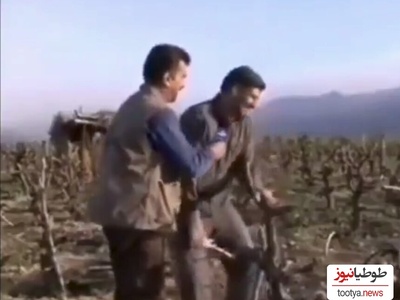 کشاورزی که باغش را سرما زده بود ، از خنده غش کرد! +ویدیو