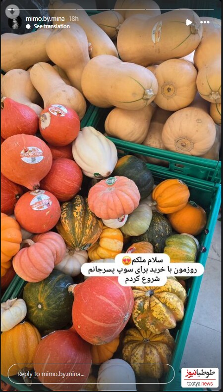 مینا مختاری