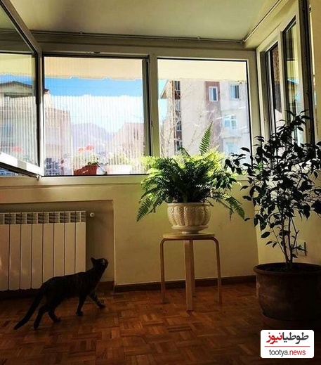 منزل هانیه توسلی