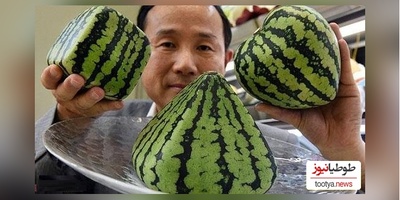 خلاقیت خنده‌دار ماهیگیر ژاپنی در گول زدن ماهی‌ها با هندوانه حماسه ای آفرید باور نکردنی😂