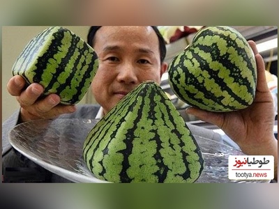 خلاقیت خنده‌دار ماهیگیر ژاپنی در گول زدن ماهی‌ها با هندوانه حماسه ای آفرید باور نکردنی😂