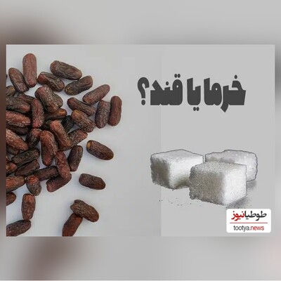 (عکس) کدام نوع خرما قند کمتری دارد؟/ بهترین جایگزین قند/ مخصوص مبتلایان به دیابت و رژیمی‌ها