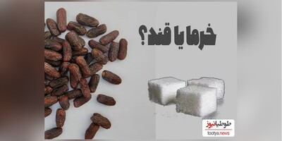 (عکس) کدام نوع خرما قند کمتری دارد؟/ بهترین جایگزین قند/ مخصوص مبتلایان به دیابت و رژیمی‌ها