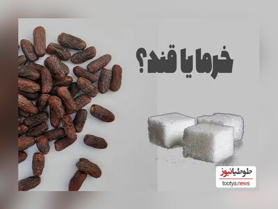 (عکس) کدام نوع خرما قند کمتری دارد؟/ بهترین جایگزین قند/ مخصوص مبتلایان به دیابت و رژیمی‌ها