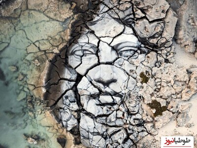 (تصاویر) نقاشی‌های حیرت‌انگیزی که به «یخ‌های شکسته» زندگی می‌بخشند