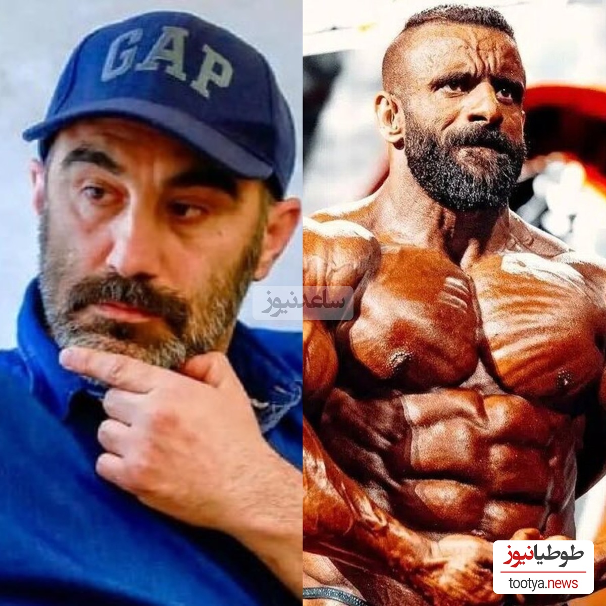 محسن تنابنده خطاب به هادی چوپان: سرت رو بالا بگیر تو به مافیا باختی؛ گرگ رو از هر طرف بخونی گرگه...+ویدیو