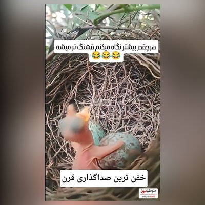 فیلم/خلاقیت خنده دار هنرمند ایرانی در صداگذاری رو از دست نده/ من یکی 10 بار دیدم 20 بار خندیم بهش😂 بیخود نبوده میگفتن هنر نزد ایرانیان است و بس