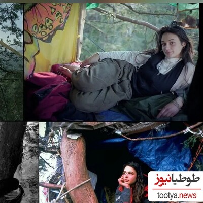 (تصویر)ماجرای دختری که 738 روز بالای درخت زندگی کرد!/ روایت داستان زندگی دوساله جولیا بر روی درخت