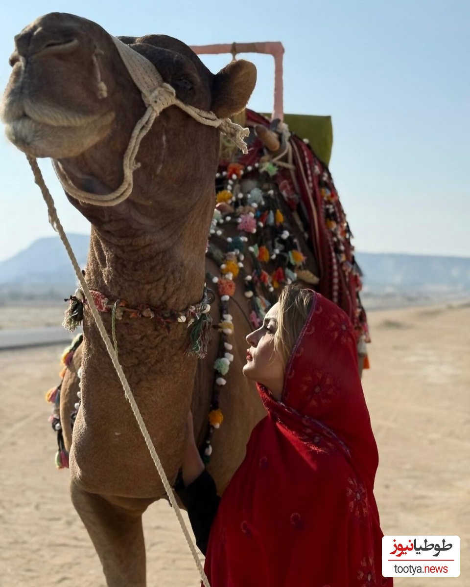 نیلوفر پارسا