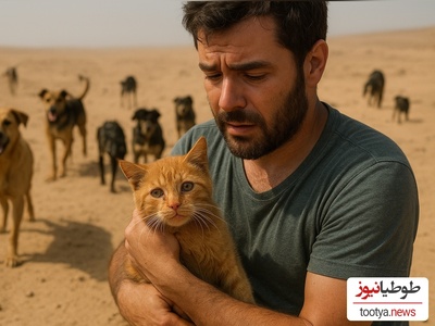 (ویدئو) مستند حیات وحش روز/ اشک‌های احساسی گربه یتیمی که از دست 15 سگ وحشی توسط مرد ترکیه ای نجات یافت