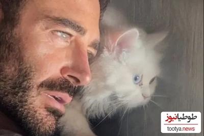 (ویدئو) بازی صبحگاهی گربه زیبای محمدرضا گلزار / وقتی گلزار سر به سر گربه اش میذاره