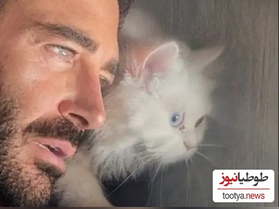 (ویدئو) بازی صبحگاهی گربه زیبای محمدرضا گلزار / وقتی گلزار سر به سر گربه اش میذاره