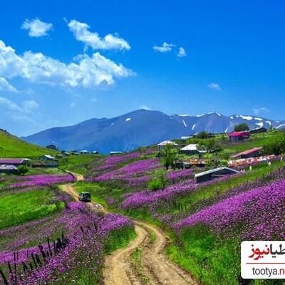 تابستان 1403کجای شمال برویم؟/ 5 تا از خنک ترین شهرهای گیلان