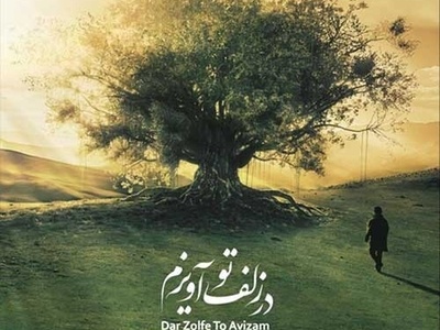 دانلود آهنگ «در زلف تو آویزم» از علیرضا قربانی+متن/ بیم است که سودایت دیوانه کند ما را