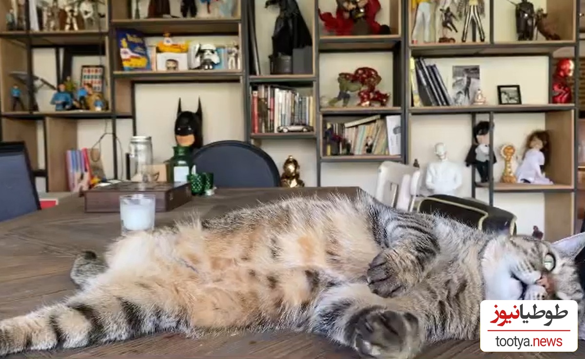 چیدمان منزل پیمان قاسم خانی و میترا ابراهیمی