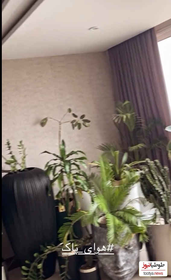 چیدمان منزل علیرضا نیکبخت