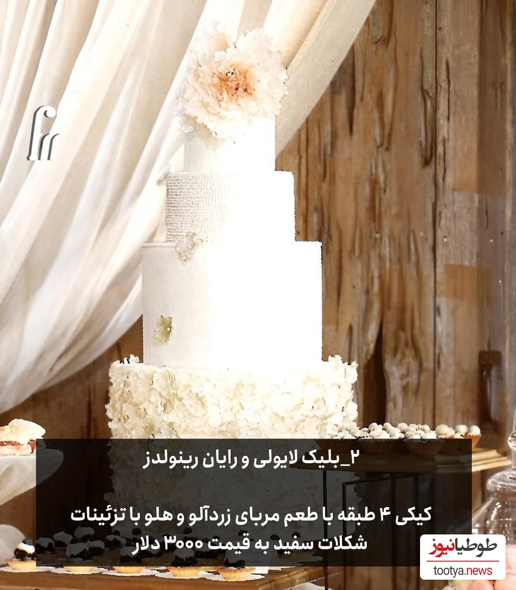 بلک لایولی