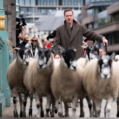 (ویدئو) ستاره هالیوود چوپان شد!؟/ فقط مردم که   با تعجب دارن فیلم و عکس میگیرن ازش!